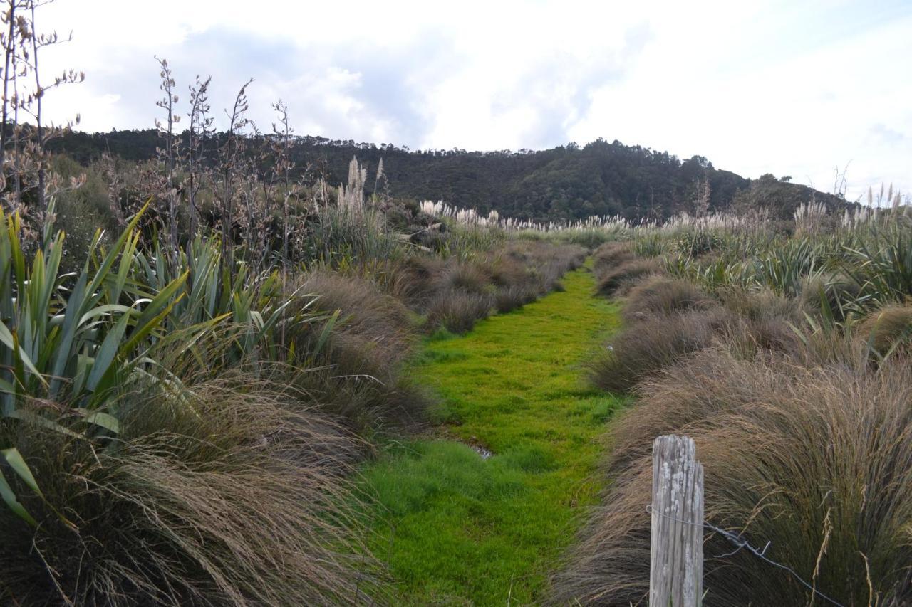Manuka Views - Close To Thermal Hot Pools Kaukapakapa Bagian luar foto