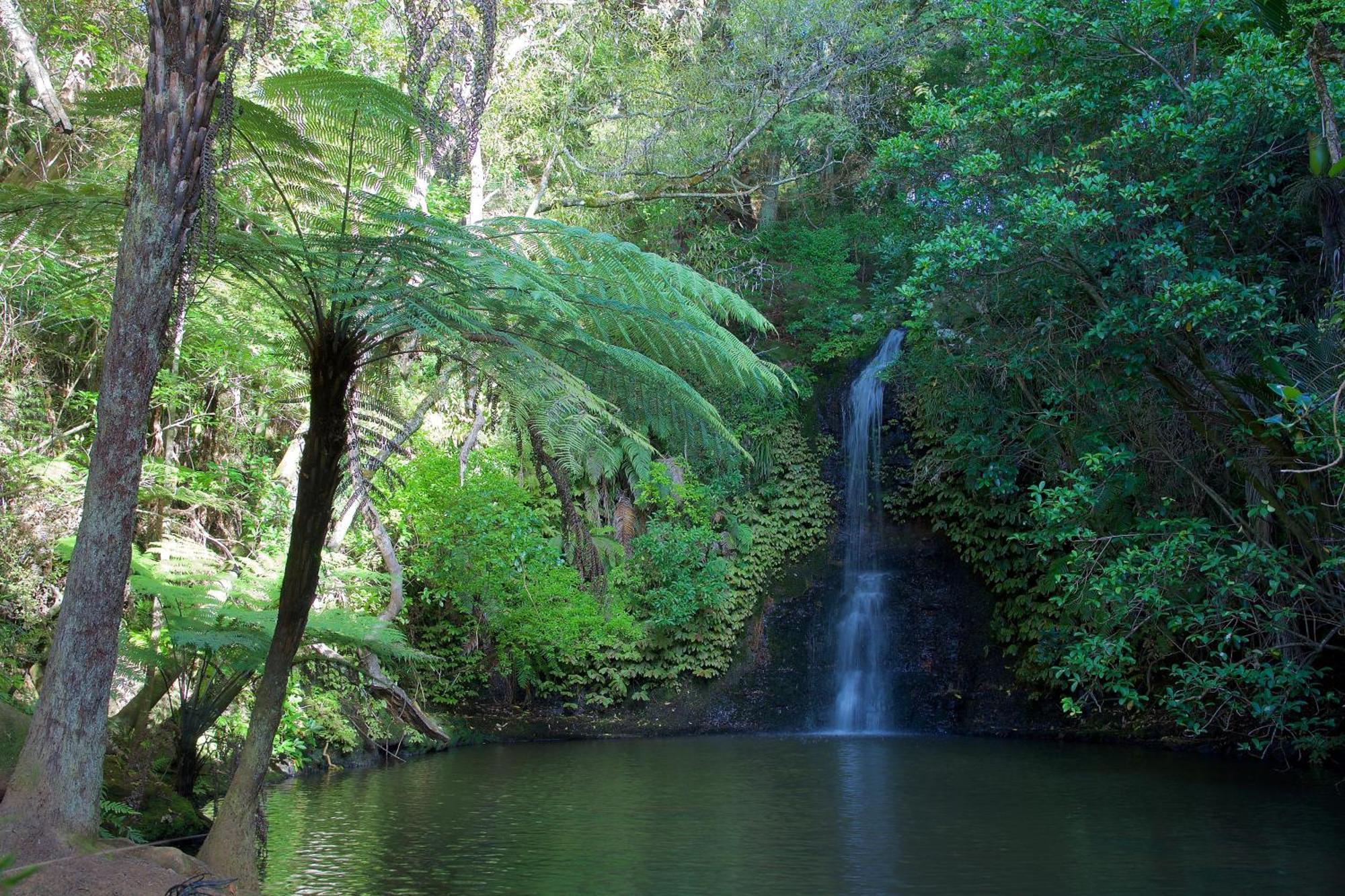 Manuka Views - Close To Thermal Hot Pools Kaukapakapa Bagian luar foto